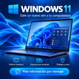 Windows 11